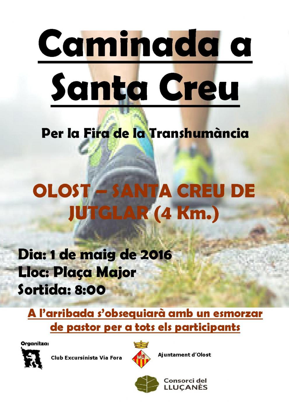 Caminada a la Fira de Transhumància de Santa Creu de Jutglar